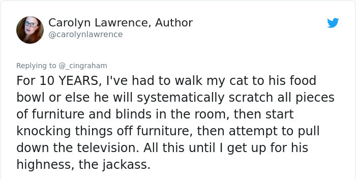 Carolyn Lawrence, Author For 10 Years, I've had to walk my cat to his food bowl or else he will systematically scratch all pieces of furniture and blinds in the room, then start knocking things off furniture, then attempt to pull down the television. All…