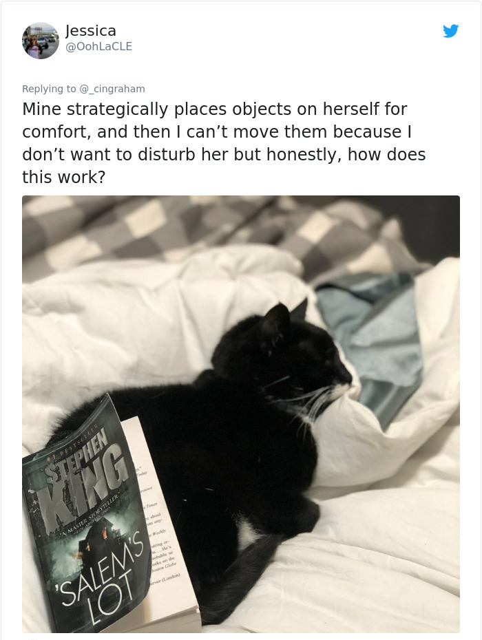photo caption - ' Jessica Mine strategically places objects on herself for comfort, and then I can't move them because I don't want to disturb her but honestly, how does this work? Stephen Cong Acaster Storyteller lo