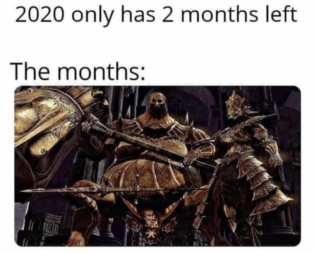 demons souls pc meme - 2020 only has 2 months left The months