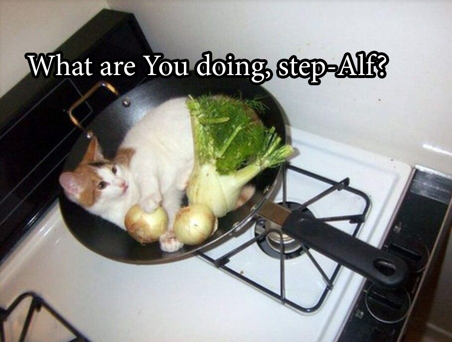 kitchen cooking - What are you doing stepAlf?