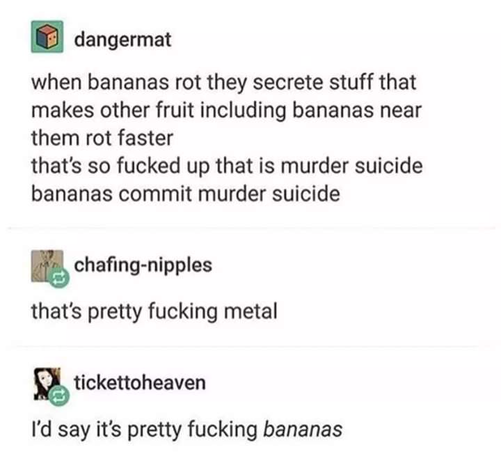 document - dangermat when bananas rot they secrete stuff that makes other fruit including bananas near them rot faster that's so fucked up that is murder suicide bananas commit murder suicide chafingnipples that's pretty fucking metal tickettoheaven I'd s