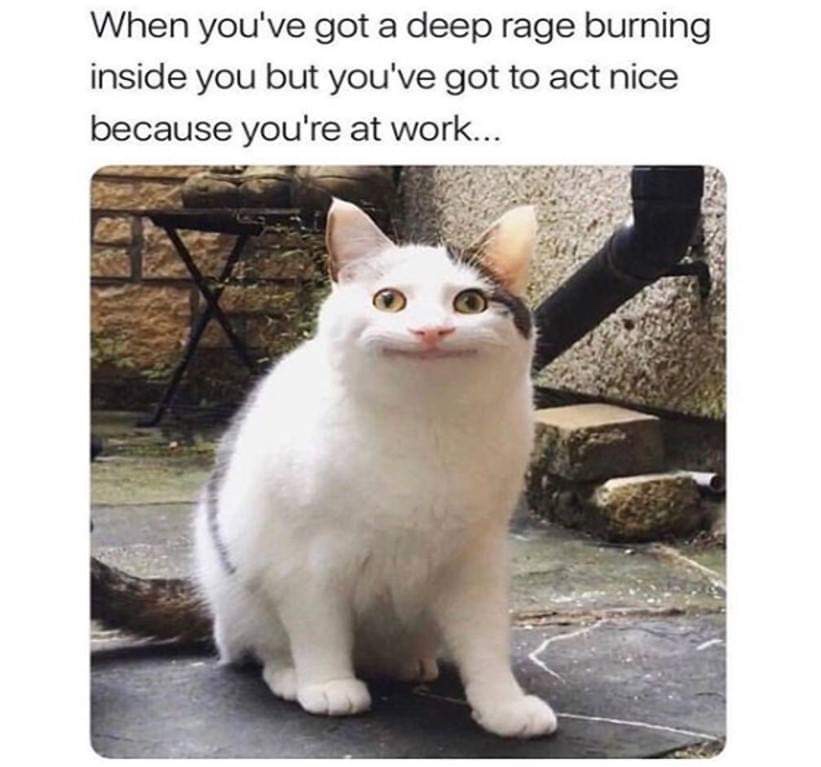 best cat memes - When you've got a deep rage burning inside you but you've got to act nice because you're at work...