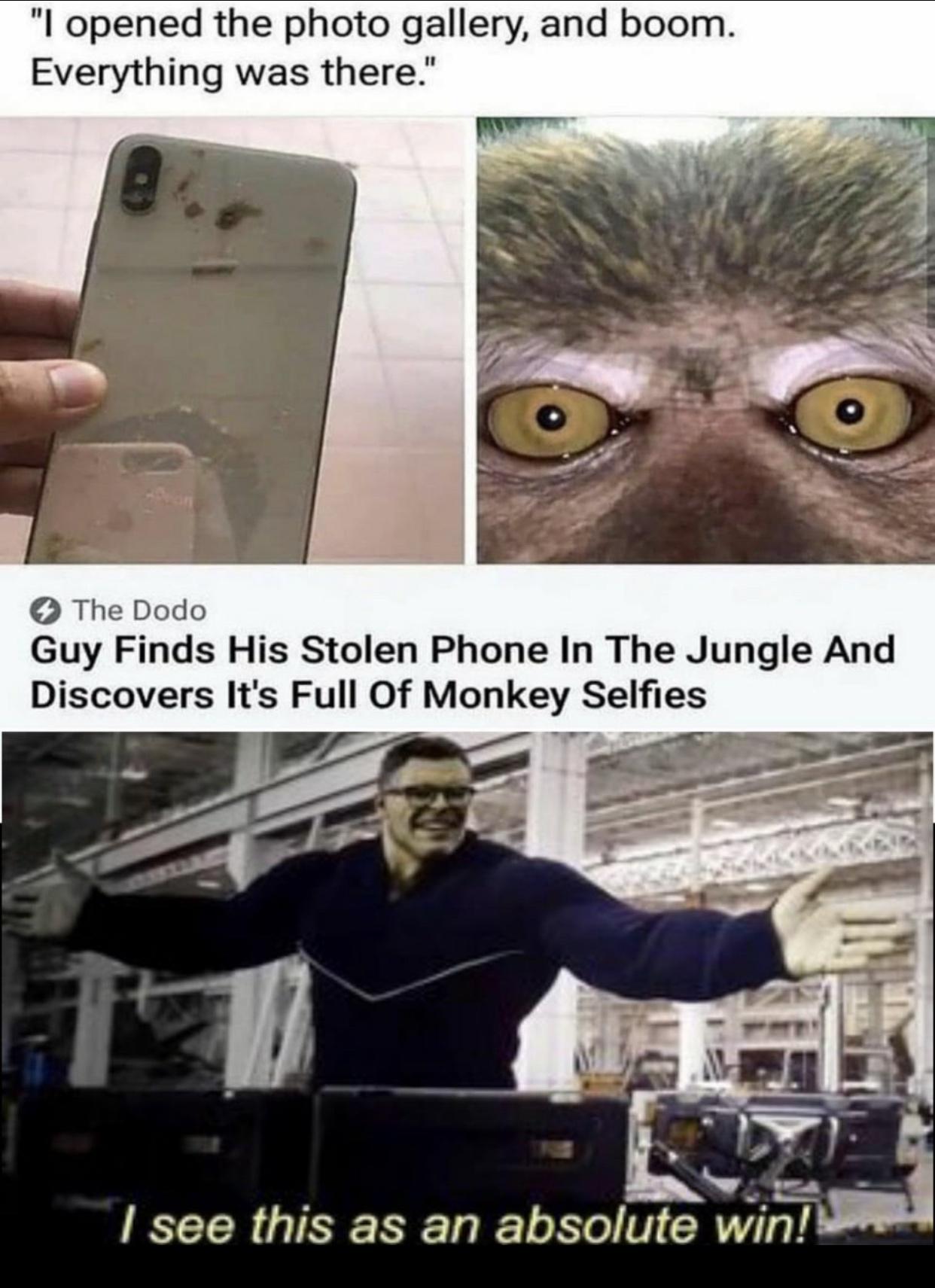 carefully he's a hero meme - "I opened the photo gallery, and boom. Everything was there." Son The Dodo Guy Finds His Stolen Phone In The Jungle And Discovers It's Full Of Monkey Selfies I see this as an absolute win!