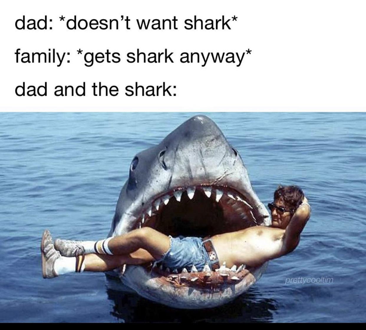 steven spielberg jaws - dad doesn't want shark family gets shark anyway dad and the shark prettycooltim