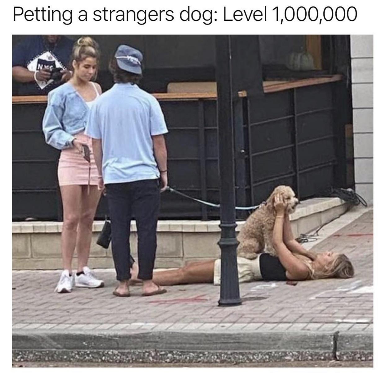 photo caption - Petting a strangers dog Level 1,000,000