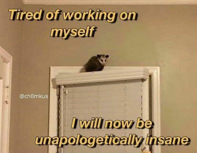cat - Tired of working on myself I will now be unapologetically insane