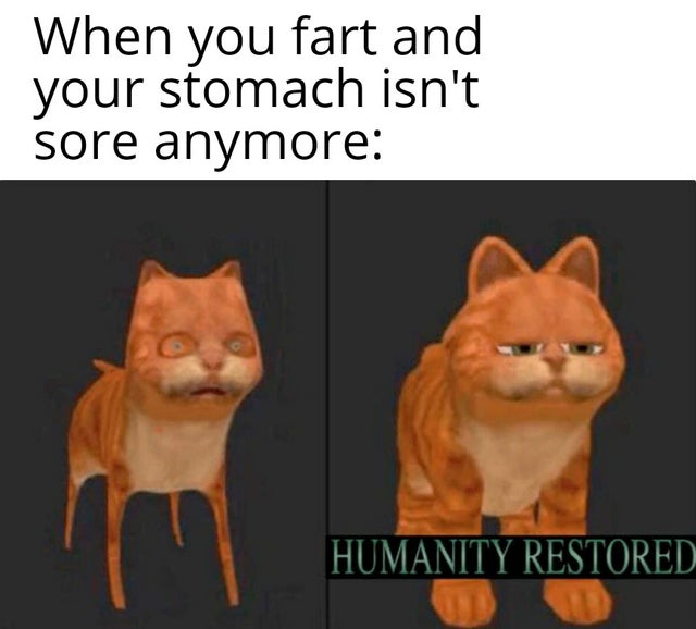 funny gaming memes - night water meme - When you fart and your stomach isn't sore anymore Humanity Restored