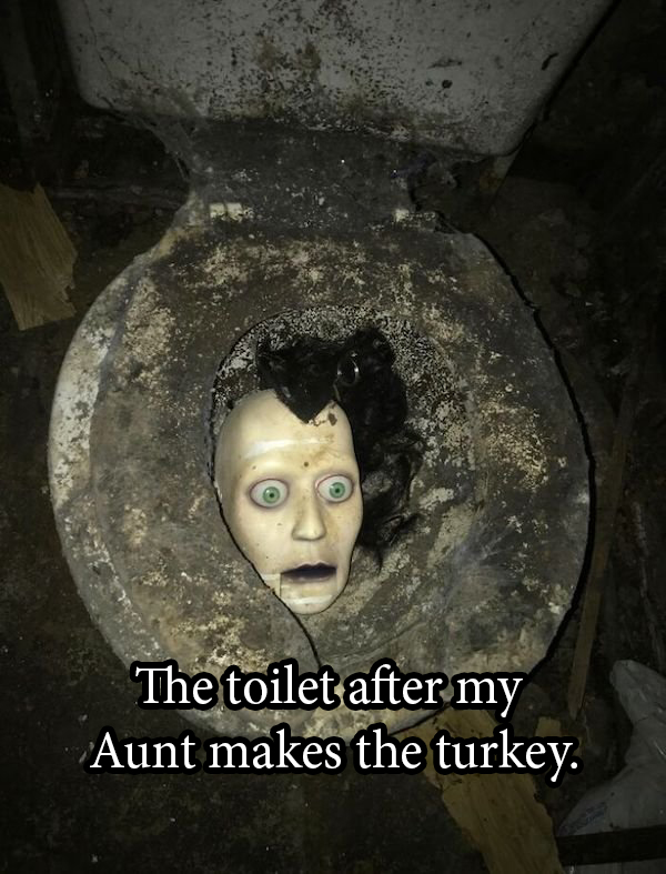 mannequin head in toilet - The toilet after my Aunt makes the turkey.