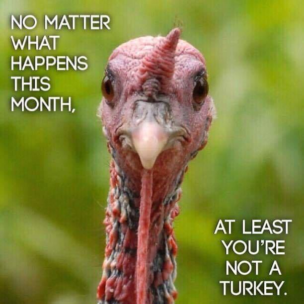 happy thanksgiving turkey meme - No Matter What Happens This Month, , At Least You'Re Not A Turkey