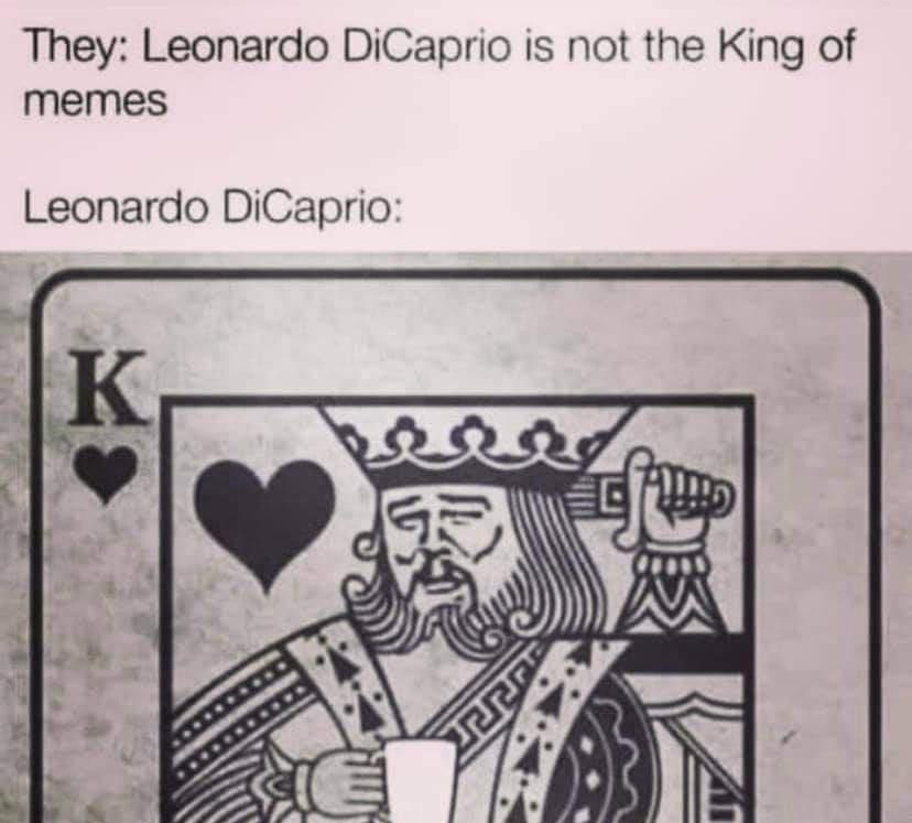 leonardo dicaprio king of memes - They Leonardo DiCaprio is not the King of memes Leonardo DiCaprio K K