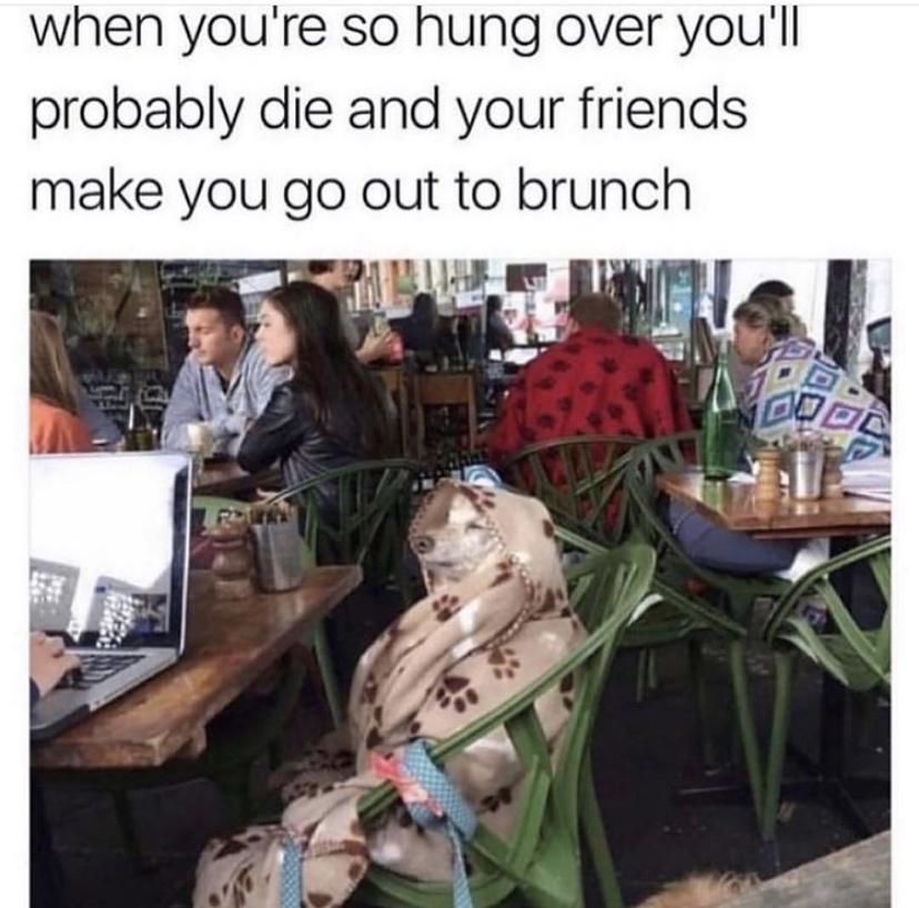 you re so hungover you ll probably die - when you're so hung over you'll probably die and your friends make you go out to brunch Ro