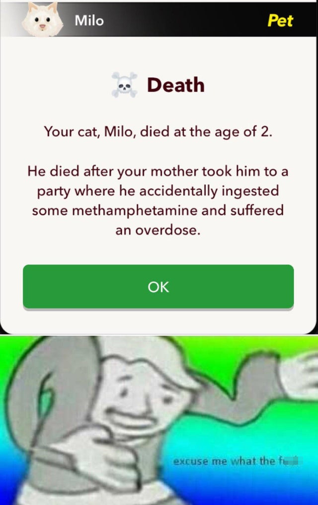funny gaming memes - oof moment - Milo Pet Death Your cat, Milo, died at the age of 2. He died after your mother took him to a party where he accidentally ingested some methamphetamine and suffered an overdose. Ok excuse me what the fun