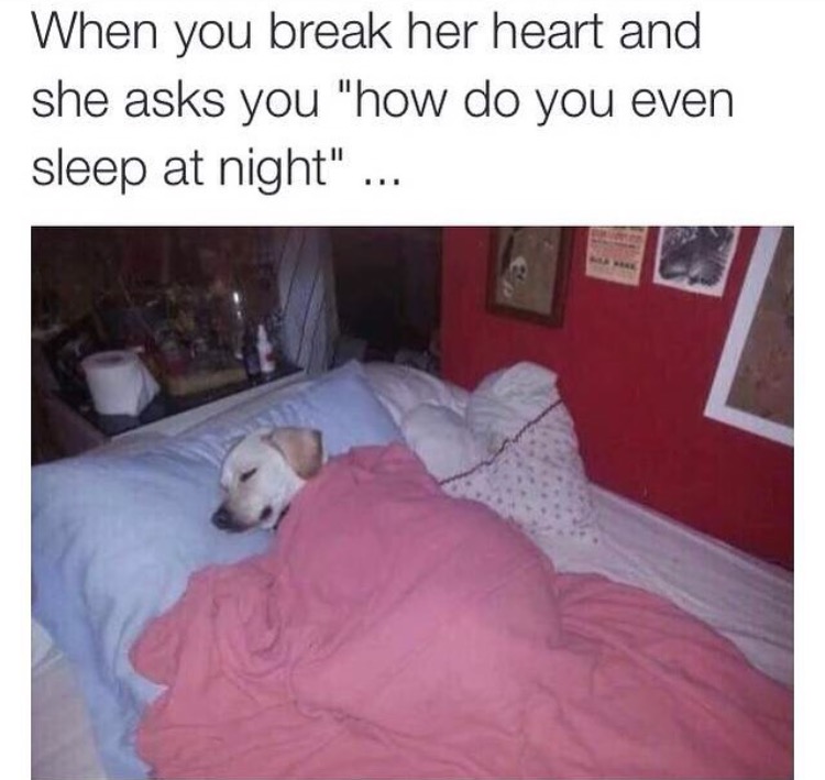 won t fall asleep meme - When you break her heart and she asks you "how do you even sleep at night" ...