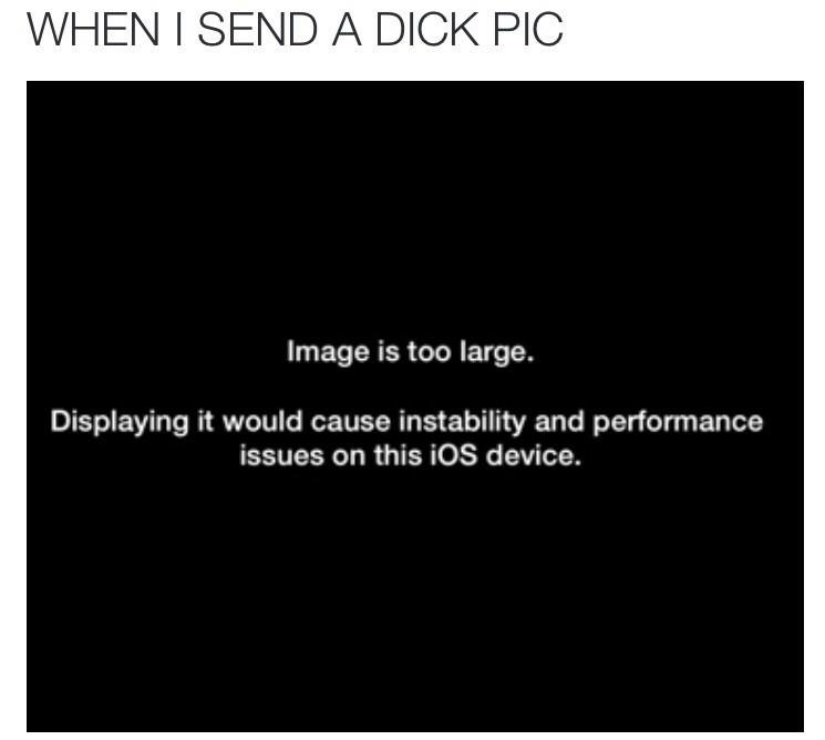 too large meme - When I Send A Dick Pic Image is too large. Displaying it would cause instability and performance issues on this iOS device.