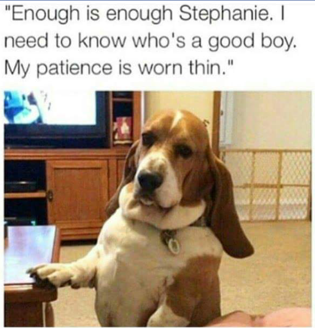 who's a good boy meme - "Enough is enough Stephanie. I need to know who's a good boy. My patience is worn thin."