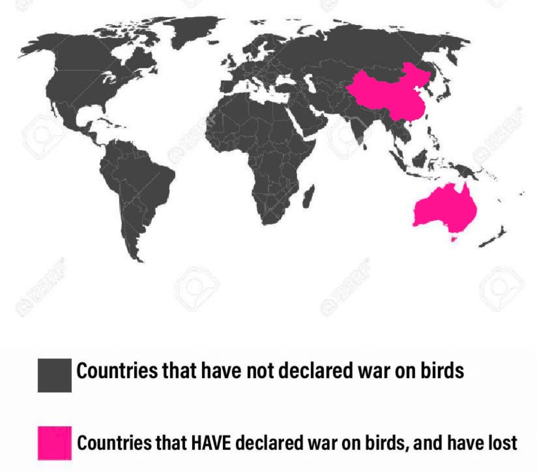 world map - Countries that have not declared war on birds Countries that Have declared war on birds, and have lost