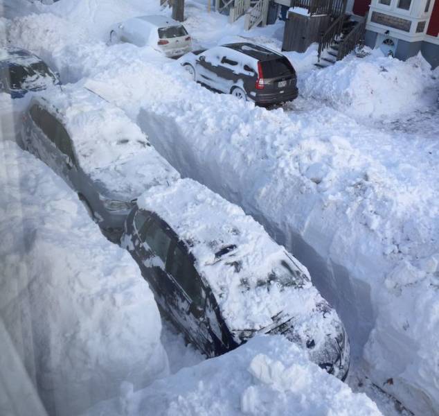 cool winter pics - canada record snow burying cars