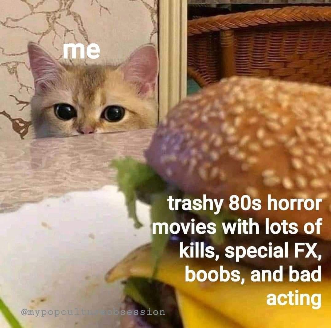 me trashy 80s horror movies with lots of kills, special Fx, boobs, and bad acting