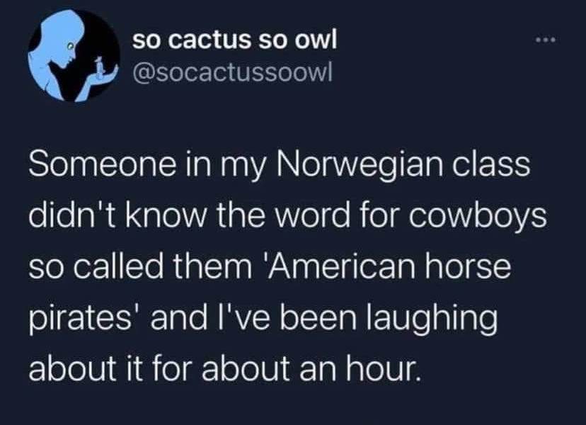 atmosphere - so cactus so owl Someone in my Norwegian class didn't know the word for cowboys so called them 'American horse pirates' and I've been laughing about it for about an hour.
