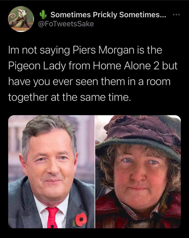 scottish people funny - Sometimes Prickly Sometimes... Im not saying Piers Morgan is the Pigeon Lady from Home Alone 2 but have you ever seen them in a room together at the same time.