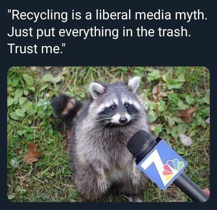 raccoon interview - "Recycling is a liberal media myth. Just put everything in the trash. Trust me."