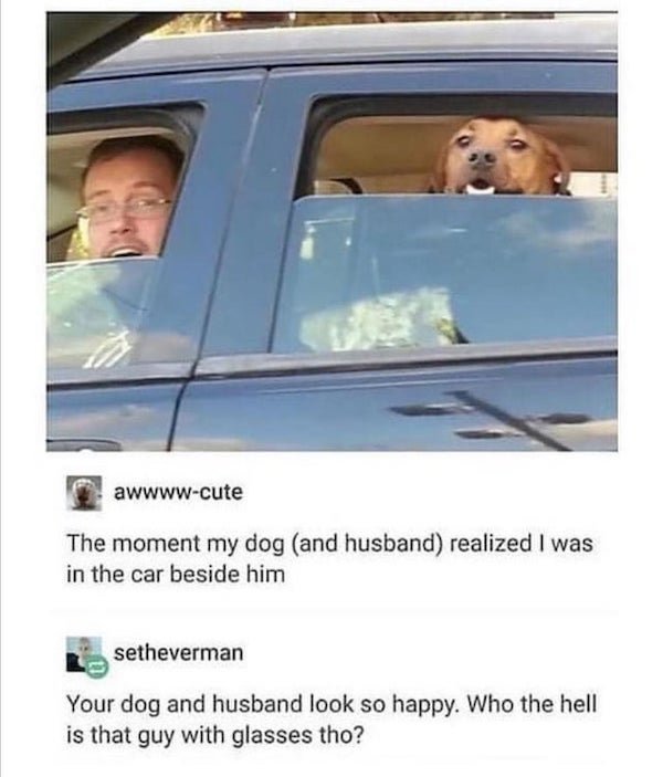 Dog - awwwwcute The moment my dog and husband realized I was in the car beside him setheverman Your dog and husband look so happy. Who the hell is that guy with glasses tho?