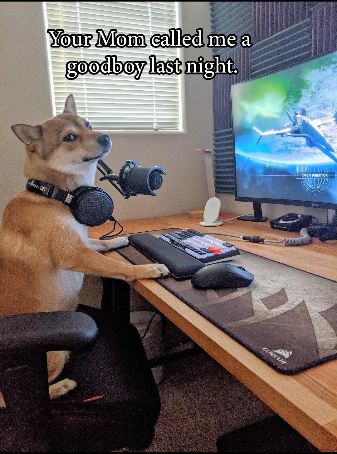 dog on a computer - Your Mom called me a goodboy last night.