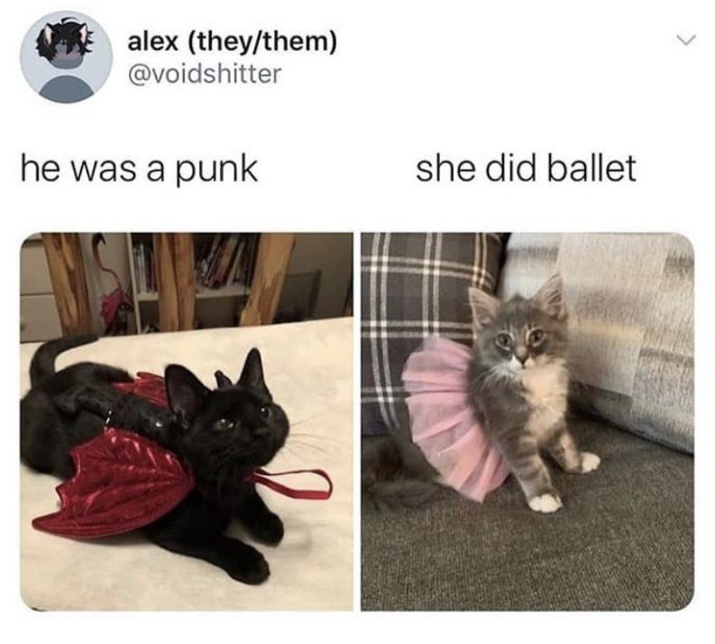 cute bat cat - alex theythem he was a punk she did ballet