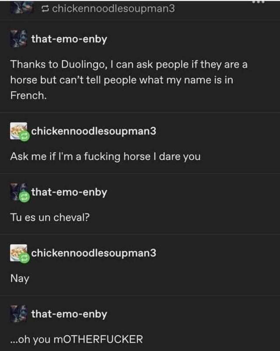 tu es un cheval - Schickennoodlesoupman3 thatemoenby Thanks to Duolingo, I can ask people if they are a horse but can't tell people what my name is in French. chickennoodlesoupman3 Ask me if I'm a fucking horse I dare you thatemoenby Tu es un cheval? chic