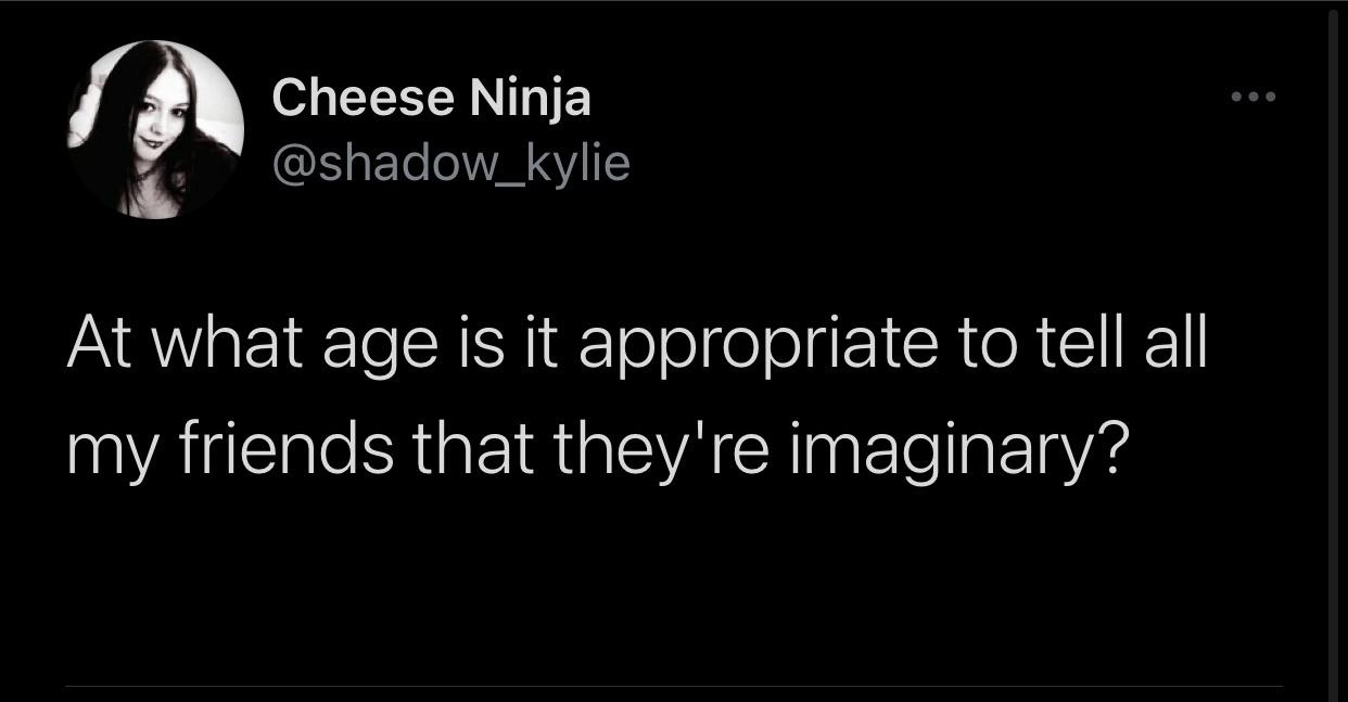 darkness - Cheese Ninja At what age is it appropriate to tell all my friends that they're imaginary?