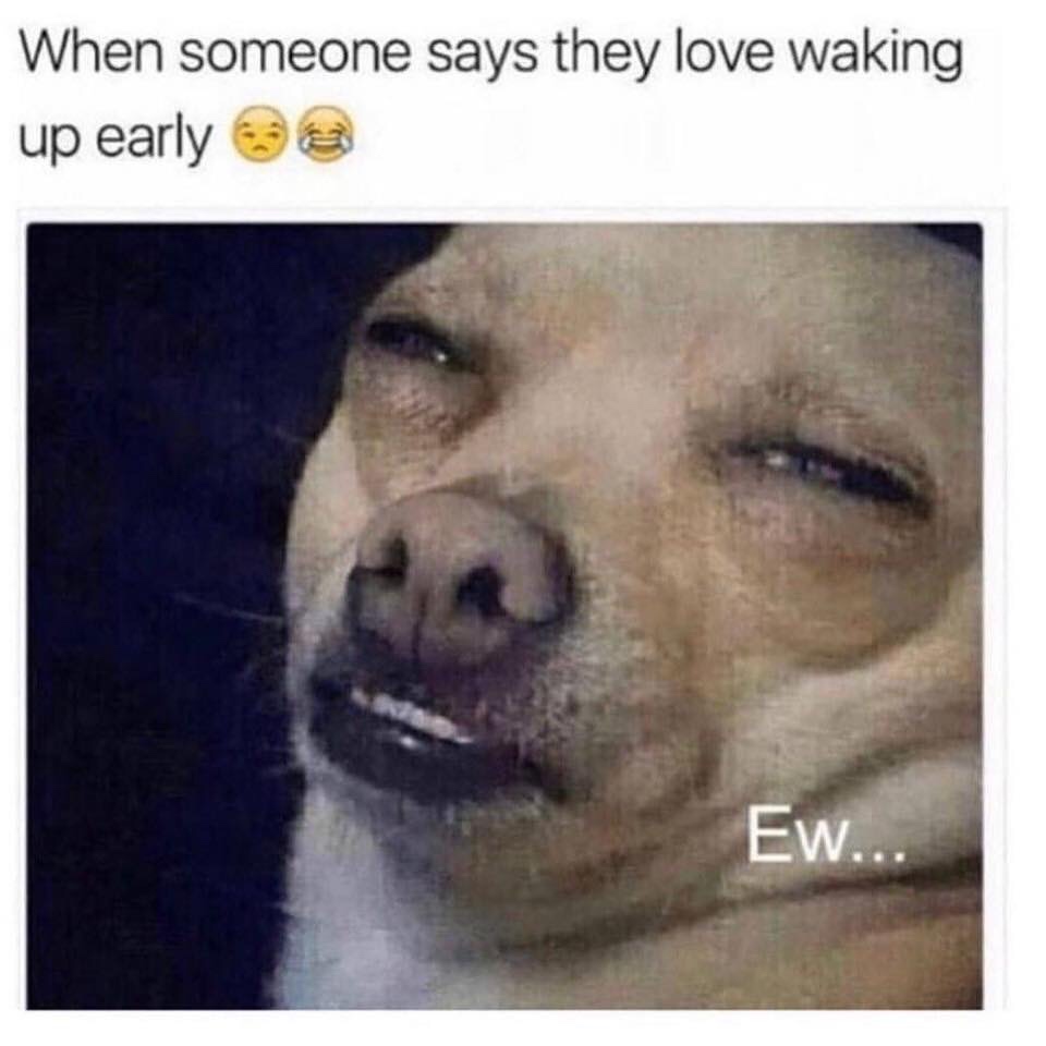 ugh meme - When someone says they love waking up early a Ew...