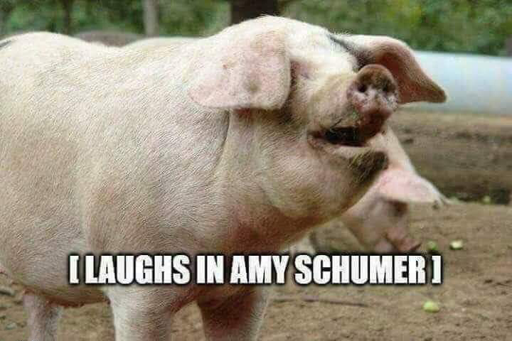 laughs in amy schumer meme - I Laughs In Amy Schumeri