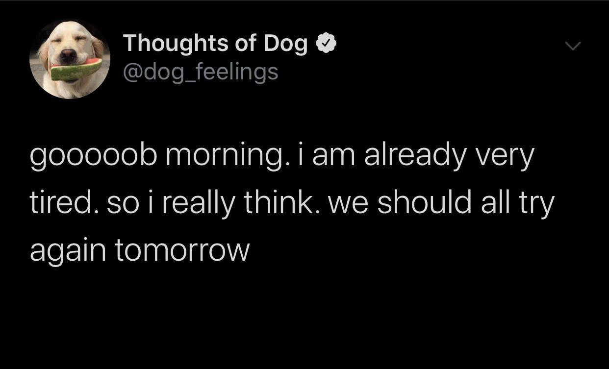 Thoughts of Dog gooooob morning. i am already very tired. so i really think. we should all try again tomorrow