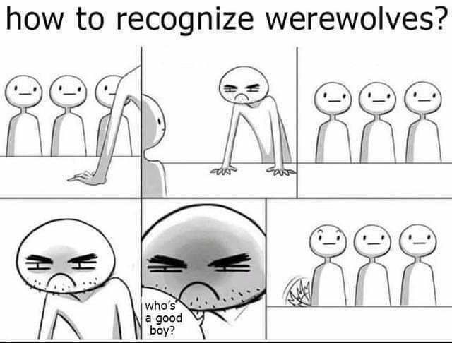 recognize werewolves meme - how to recognize werewolves? who's a good boy?