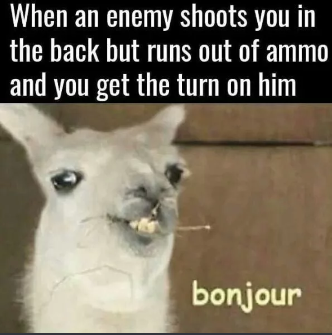 bonjour meme - When an enemy shoots you in the back but runs out of ammo and you get the turn on him bonjour