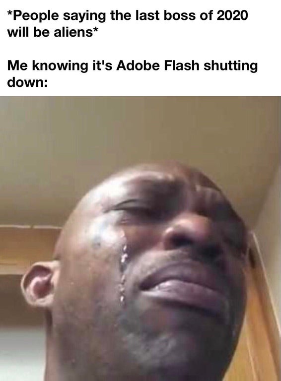 funny gaming memes - People saying the last boss of 2020 will be aliens Me knowing it's Adobe Flash shutting down