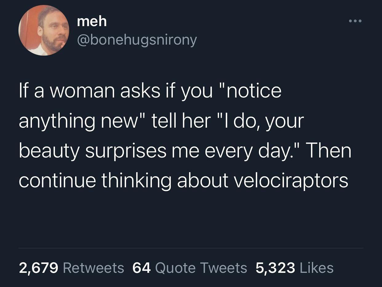 atmosphere - meh If a woman asks if you "notice anything new" tell her "I do, your beauty surprises me every day." Then continue thinking about velociraptors 2,679 64 Quote Tweets 5,323
