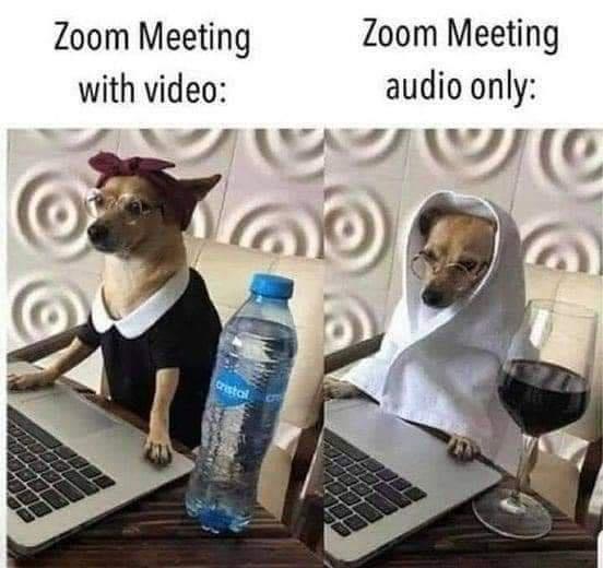 Zoom Video Communications - Zoom Meeting with video Zoom Meeting audio only 10 teista