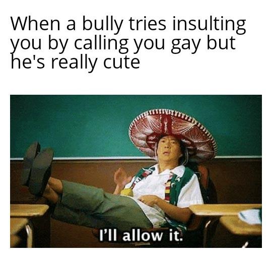 coffin dance dank meme - When a bully tries insulting you by calling you gay but he's really cute I'll allow it.