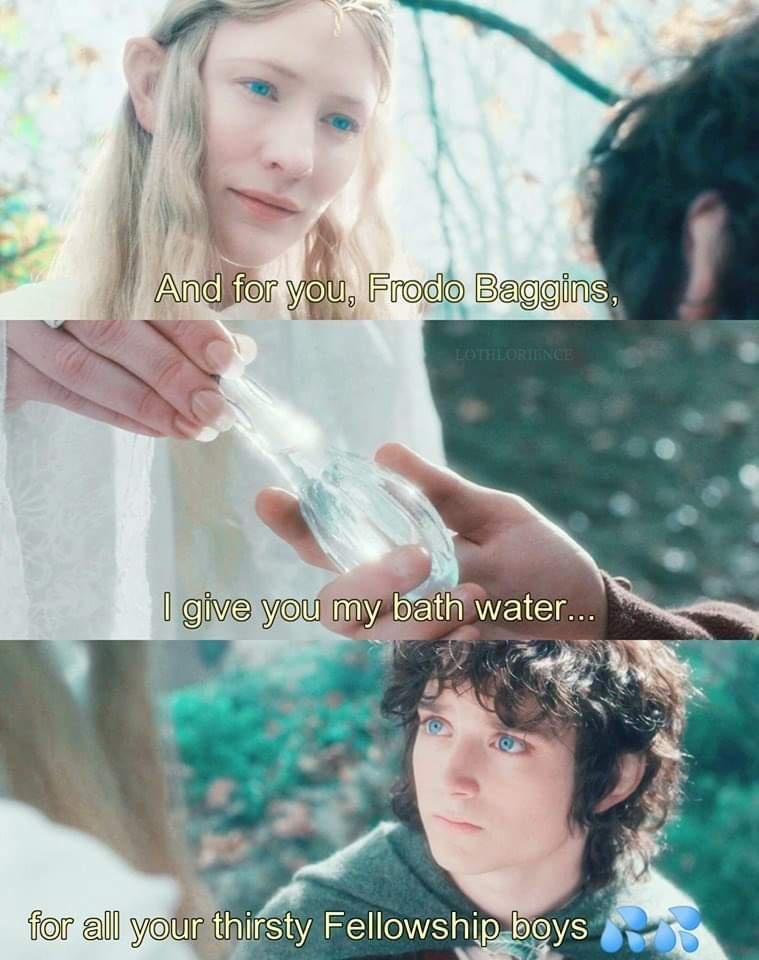 lotr memes - And for you, Frodo Baggins, Lothlorience I give you my bath water... for all your thirsty Fellowship boys