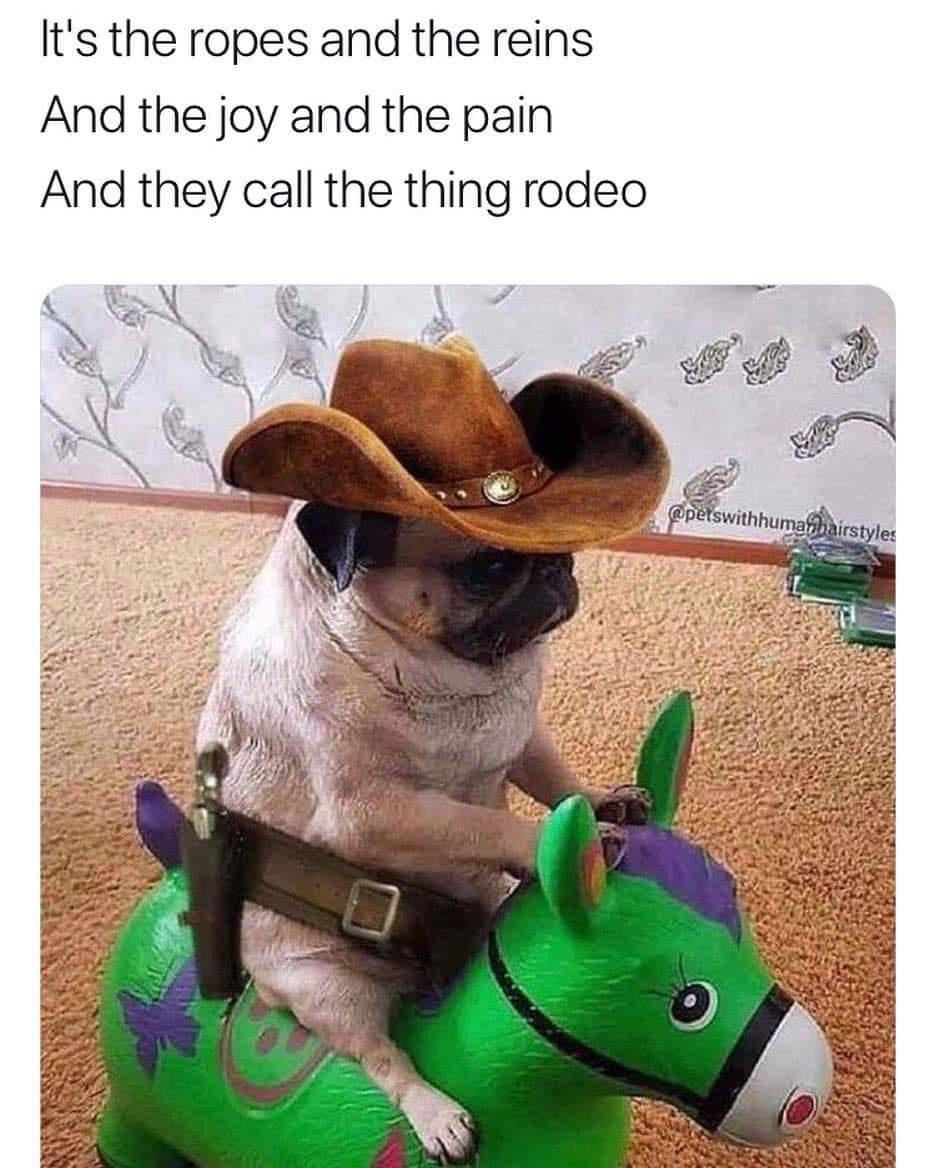 big iron meme - It's the ropes and the reins And the joy and the pain And they call the thing rodeo hairstyles