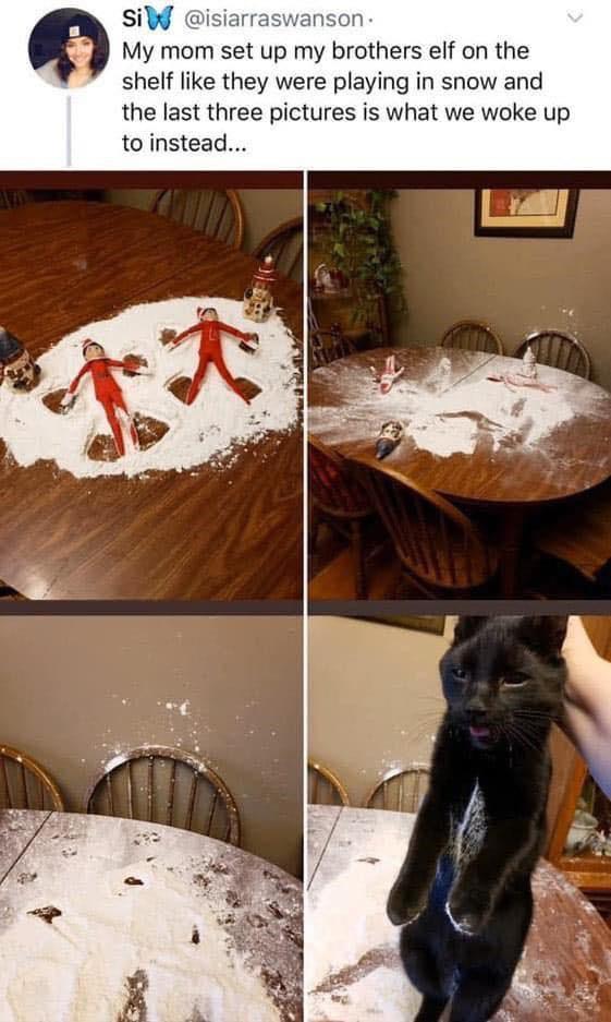 elf on the shelf cat flour - SiW My mom set up my brothers elf on the shelf they were playing in snow and the last three pictures is what we woke up to instead... tot