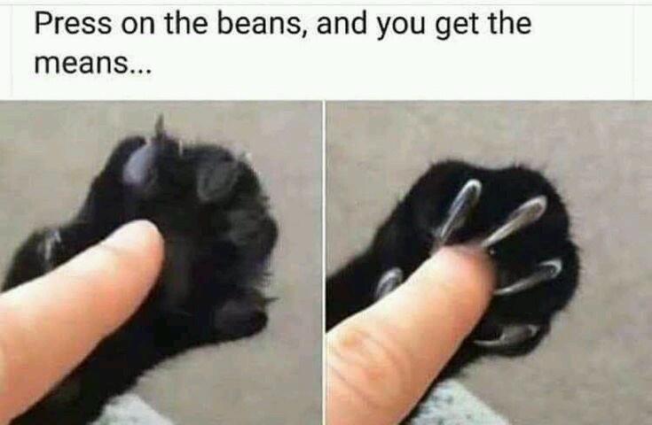 press on the beans - Press on the beans, and you get the means...