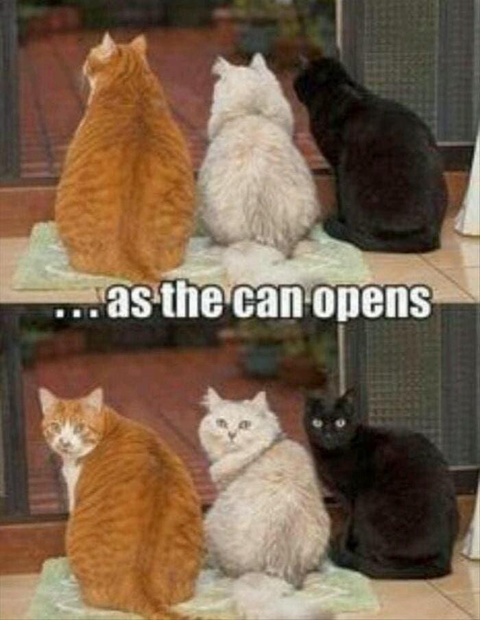 ...as the can opens