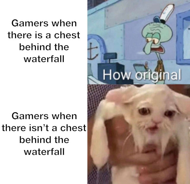 funny video game memes - Gamers when there is a chest behind the waterfall the E How original Gamers when there isn't a chest behind the waterfall