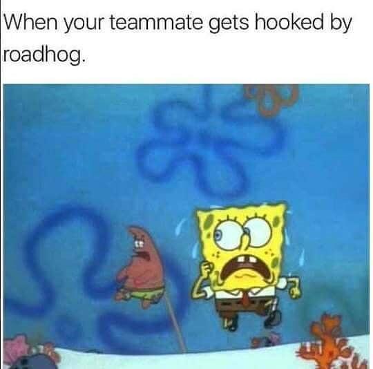 memes only brothers will understand - When your teammate gets hooked by roadhog. 32