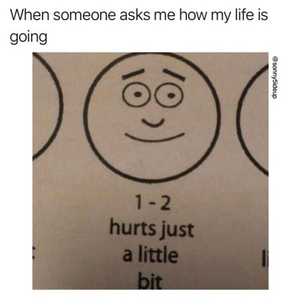 hurts just a little bit - When someone asks me how my life is going 12 hurts just a little bit