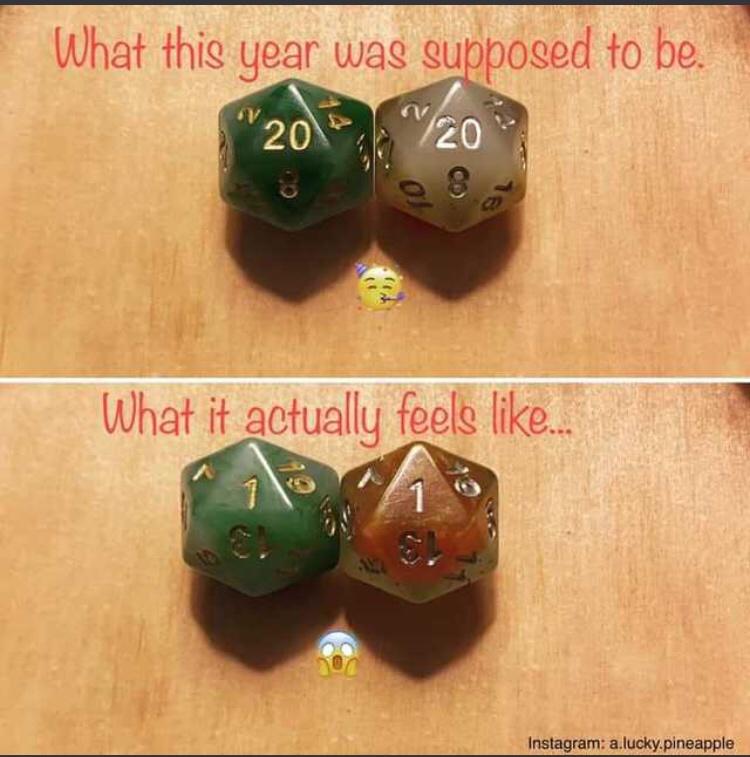 Dungeons & Dragons - What this year was supposed to be. V V 20 120 What it actually feels ... 1 Instagram a.lucky. pineapple
