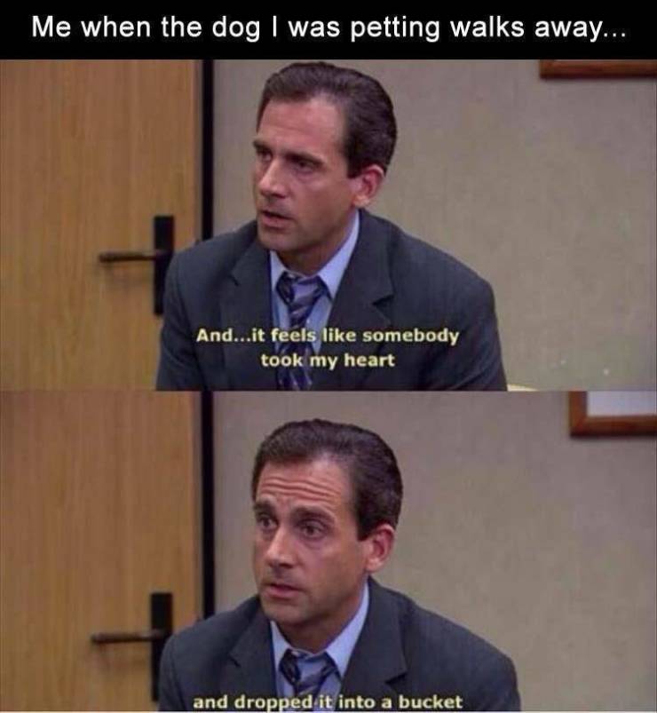 michael scott quotes - Me when the dog I was petting walks away... And...it feels somebody took my heart and dropped it into a bucket