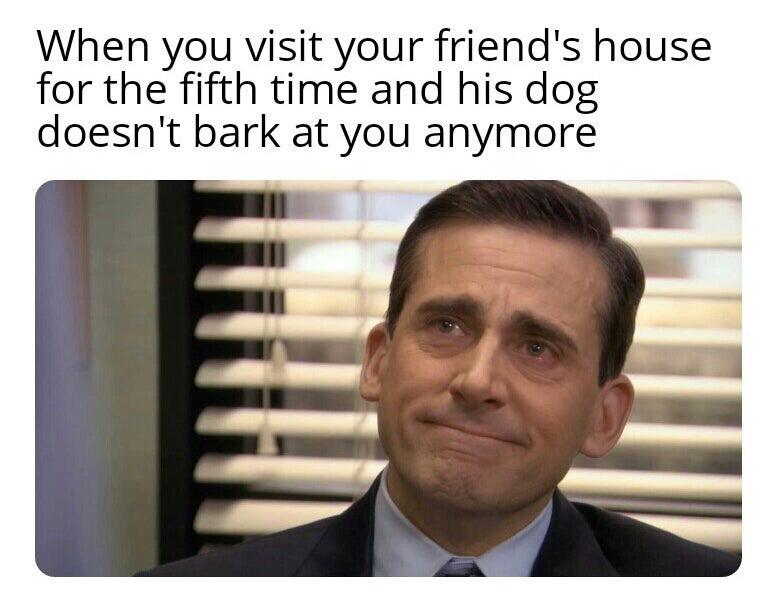 you don t hear someone meme - When you visit your friend's house for the fifth time and his dog doesn't bark at you anymore